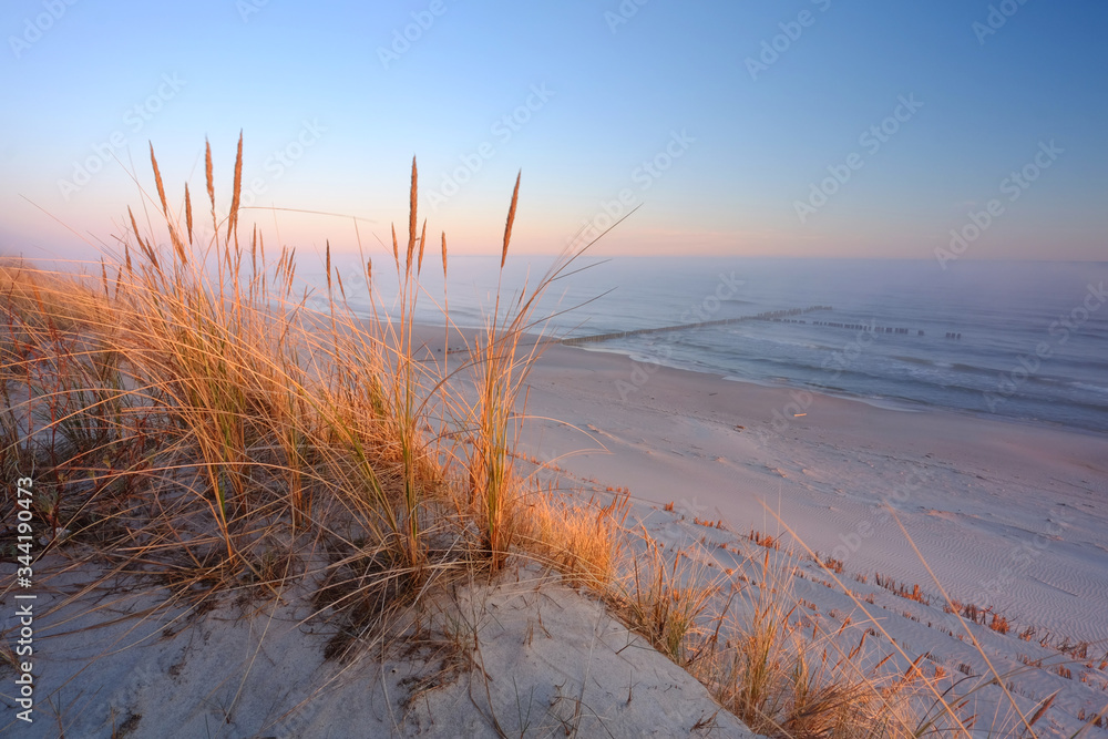 Wydmy na wybrzeżu Morza Bałtyckiego,wschód słońca na plaży w Dźwirzynie,Polska. - obrazy, fototapety, plakaty 