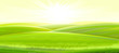 Sunny rural landscape. Vector. Green meadows and fields, grassy hills flooded with bright rays of sunlight. Ripe juicy grass. Summer, spring morning.