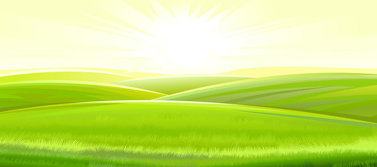 Sunny rural landscape. Vector. Green meadows and fields, grassy hills flooded with bright rays of sunlight. Ripe juicy grass. Summer, spring morning.