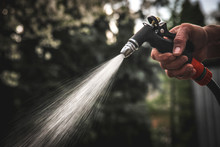 Watering Garden Equipment - Hand Holds The Sprinkler Hose For Irrigation Plants. Gardener Hand With Watering Gun.