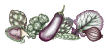 Graphic Illustration Of A Vegetable Border, Hand-drawn. Design For Print Recipe, Restaurant Menu, Cookbook, Poster, Postcard, Fabric, Dishes, Ceramic
