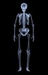 anatomy, human, roentgen, skeletal, anatomical, bone, image, medical, medicine, skeleton, spine, person, chest, hospital, ray, science, disease, film, joint, patient, radiology, scan, biology, diagnos