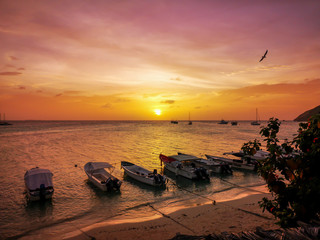 Gran Roque (Los Roques Archipelago), Venezuela: view of the touristic port during sunset with a colorful sky. 