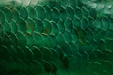 fish scales dark green color texture carved in stone