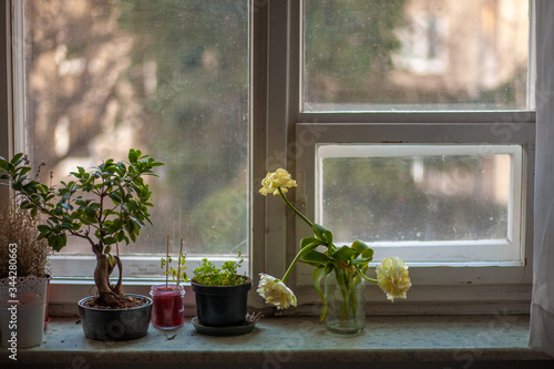 Fototapeta na drzwi i meble Yellow roses on a kitchen's parapet