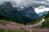 Fototapeta Natura - Pink flowers along a road through mountains with low hanging clouds above.