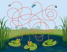 Three Frogs Caught A Mosquito, A Fly And A Dragonfly. Guess Which Of Them Managed To Catch Which Insect. Children's Game Picture Riddle With A Maze