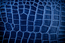Blue Skin Leather Texture