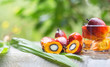 Palm oil from the garden is extracted into palm oil products.