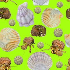 Sticker - Sea invertebrate animals, seamless pattern.