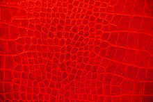 Red Skin Leather Texture