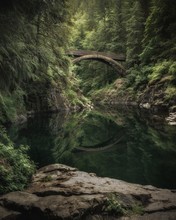 Arch Bridge Over River In Forest