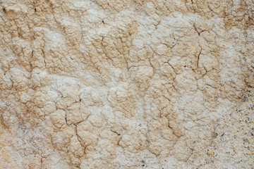 Wall Mural - Nature background of cracked dry lands. Natural texture of soil with cracks. Broken clay surface of barren dryland wasteland close-up. Full frame to terrain with arid climate. Lifeless desert on earth