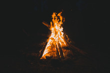 Burning Campfire In Dark At Night