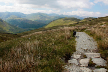 Wall Mural - Lake District National Park, England, United Kingdom 