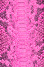 Full Frame Shot Of Pink Pattern