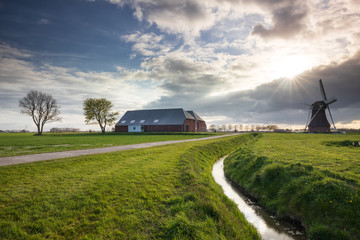 Wall Mural - sunshine over Dutch farmland with windmill