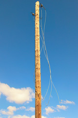 Old wooden pole with broken electric wires. Close-up view of old abandoned wooden pole for fixing electrical wires against blue sky at sunny day. Parts of wires are hanging from a pole