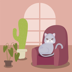 Canvas Print - cute cat in living room