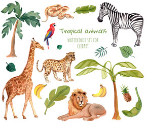 Watercolor tropical animals stickers set. Cartoon lion, zebra, giraffe isolated on a white background.