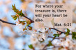 Bible quotes on blurred nature background. Card with text sign for believers. Inspirational thoughts for praying. Christian faith wallpaper. For where your treasure is, there will your heart be also.