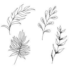 A close up Set of contour cute flowers and twigs in doodle style without shading and black strokes. Coloring book antistress. Isolated on white background. Stock vector illustration. eps 10