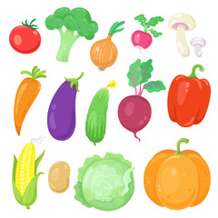 Sticker - Big set of  vegetables.  Isolated on white background. Vector flat illustration.