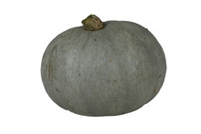 Gray Pumpkin