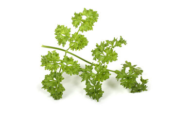 Wall Mural - Parsley