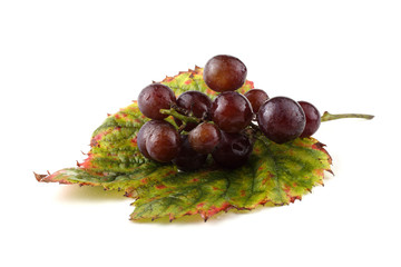 Wall Mural - Black grape
