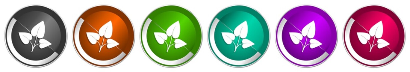 Leinwandbilder - Leaf icon set, silver metallic chrome border vector web buttons in 6 colors options for webdesign