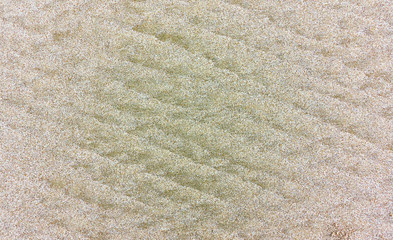 Wall Mural - sea sand surface