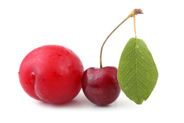 Wall Mural - Cherry and plum