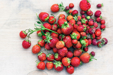 Natural organic food production. Freshly picked juicy strawberries on wooden background. Heap of summer red berries. Homegrown, gardening and agriculture consept. Backlight