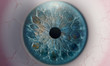 Human eye macro shot of pupil blue iris texture