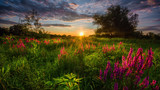 Fototapeta Fototapeta z niebem - Zachód słońca w kwiatach 