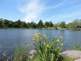 Canvas Print - lake in the park, Kotka, Finland