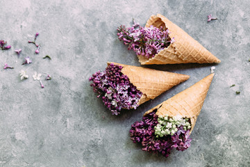  Lilac flowers in an ice cream cone on a gray background.
