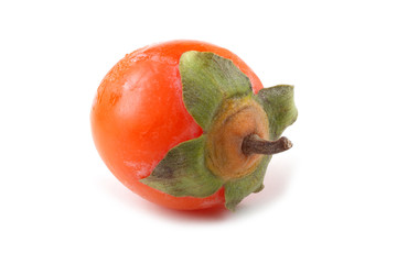 Sticker - Persimmon