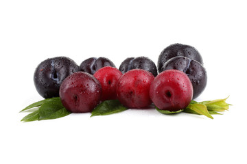 Wall Mural - Plums and leaves