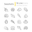 Seashells pixel perfect linear icons set. Different mollusk shells customizable thin line contour symbols. Various sea shells collection isolated vector outline illustrations. Editable stroke
