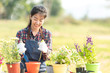 © freebird7977 - Young woman care plant flower in garden. Asian people hobby and freelance gardening outdoor sunny nature background. Happy and enjoy in spring and summer day. Lifestyle Concept