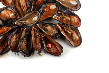 Poster - Opened mussels