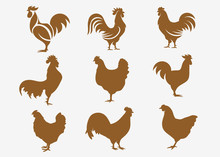 Set Of Chicken Logo Vector Illustration. Icon Logo Chicken Bird Vector. Icon Symbol. Silhouette