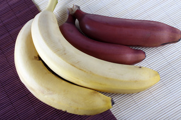 Sticker - Red and yellow bananas