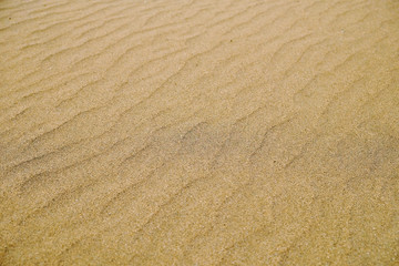  Perfect golden sand empty background.