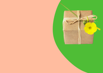 Wall Mural - Small gift box wrapped in brown paper tied with twine yellow flower on on duotone pink green background. Present for mothers day birthday. Template for store voucher coupon with copy space