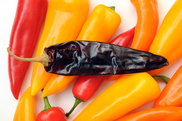 Sticker - spicy peppers