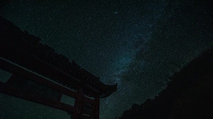 Wall Mural - night sky with stars