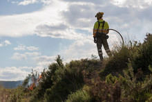 Rear View Of Firefighter In Forest